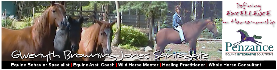 holistic horsemanship